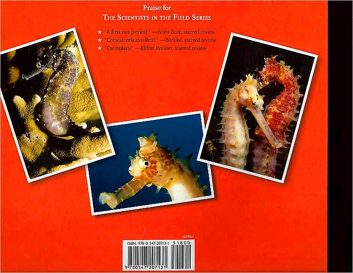 Project Seahorse