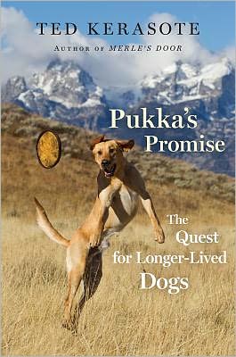 Pukka's Promise: The Quest for Longer-Lived Dogs