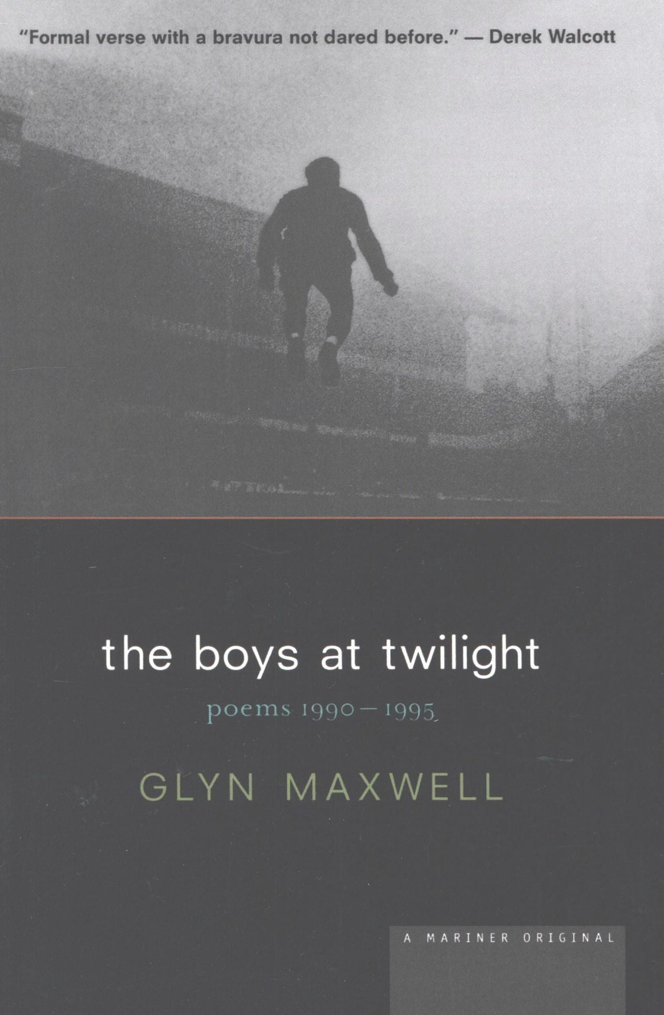 The Boys at Twilight: Poems 1990 - 1995