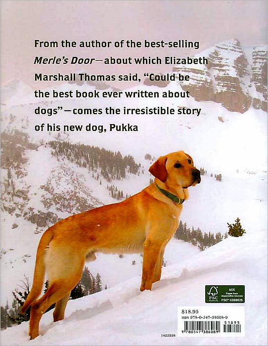 Pukka: The Pup After Merle