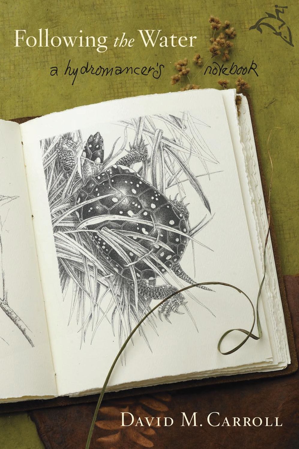 Following the Water: A Hydromancer's Notebook