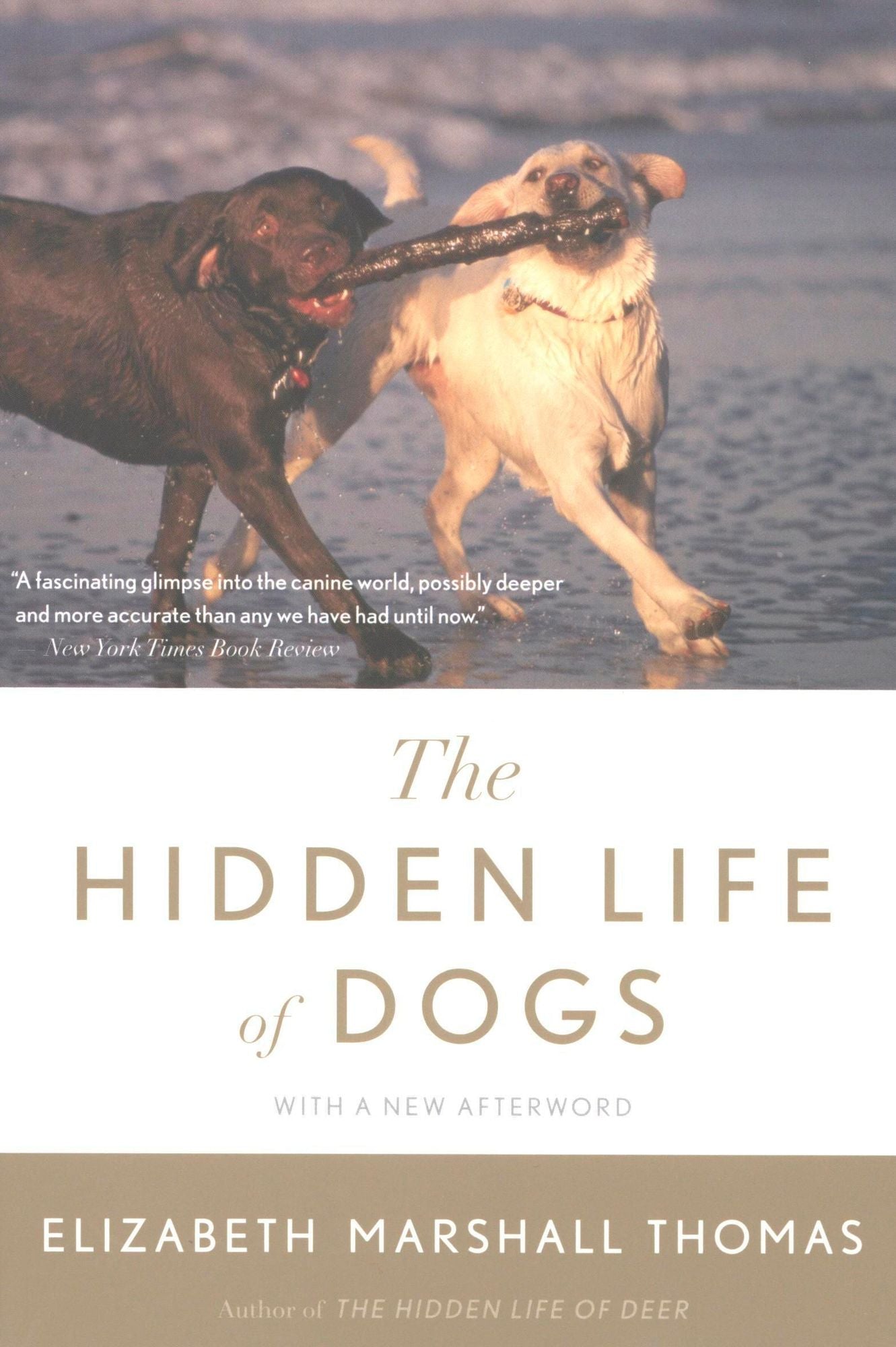 The Hidden Life of Dogs