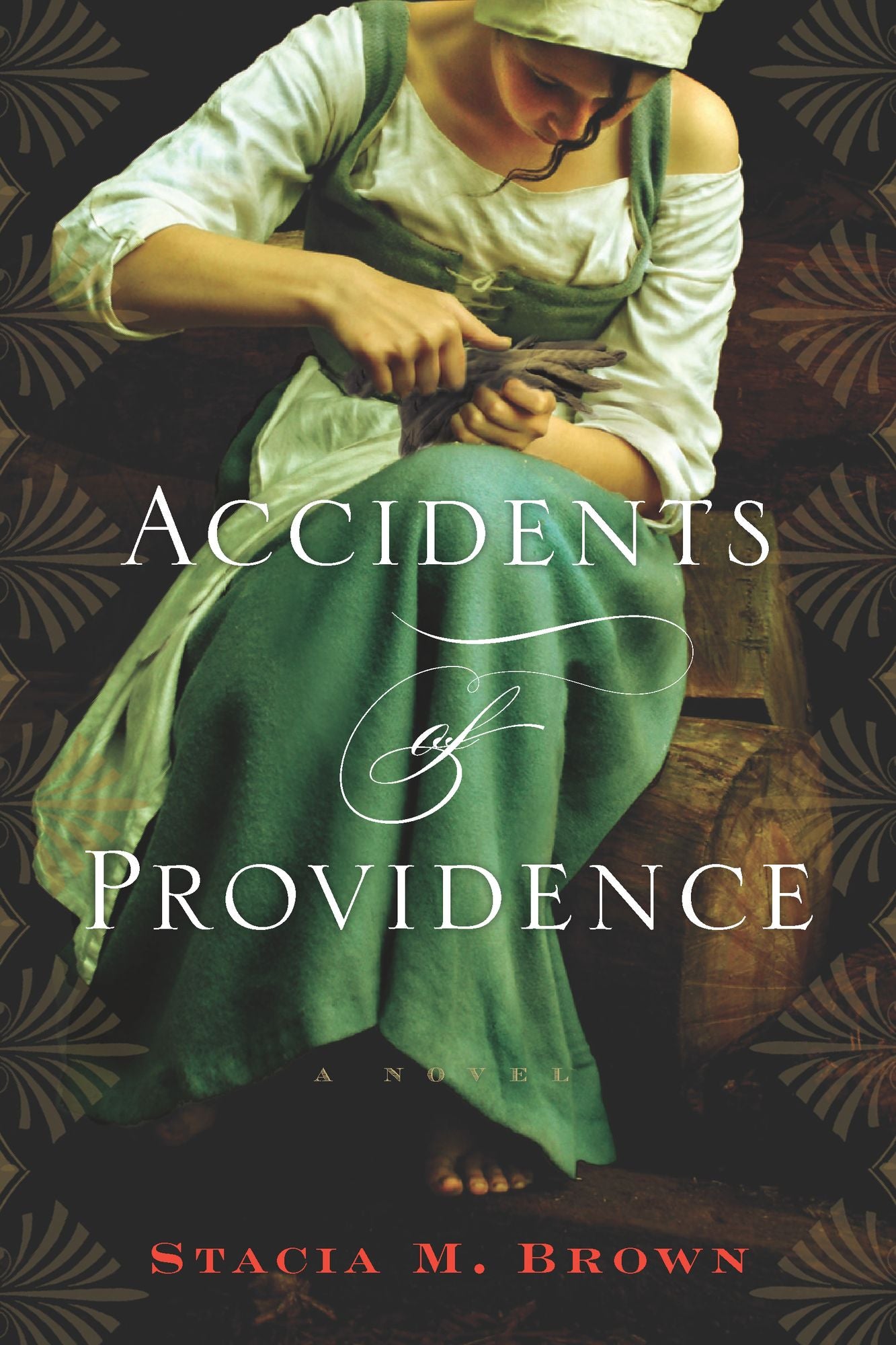 Accidents of Providence: A Novel