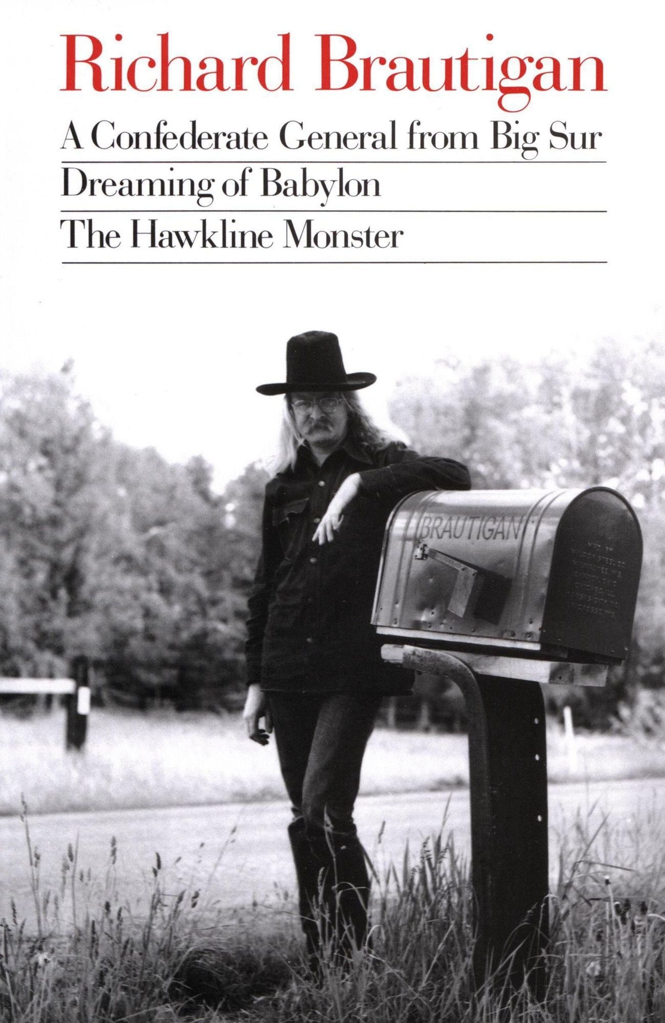 A Confederate General from Big Sur, Dreaming of Babylon, and The Hawkline Monster