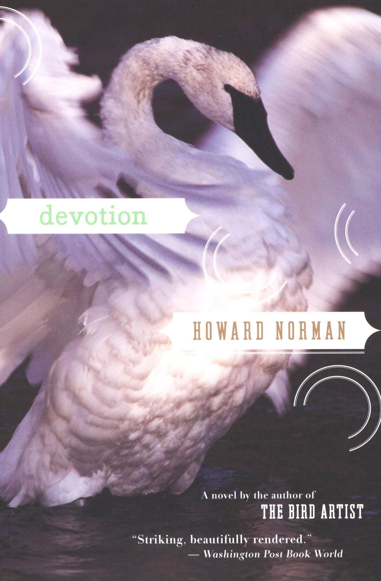 Devotion: A Novel
