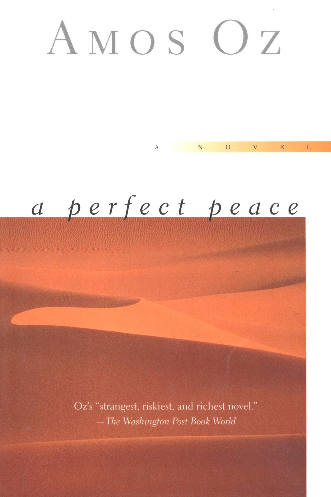 A Perfect Peace: A Novel