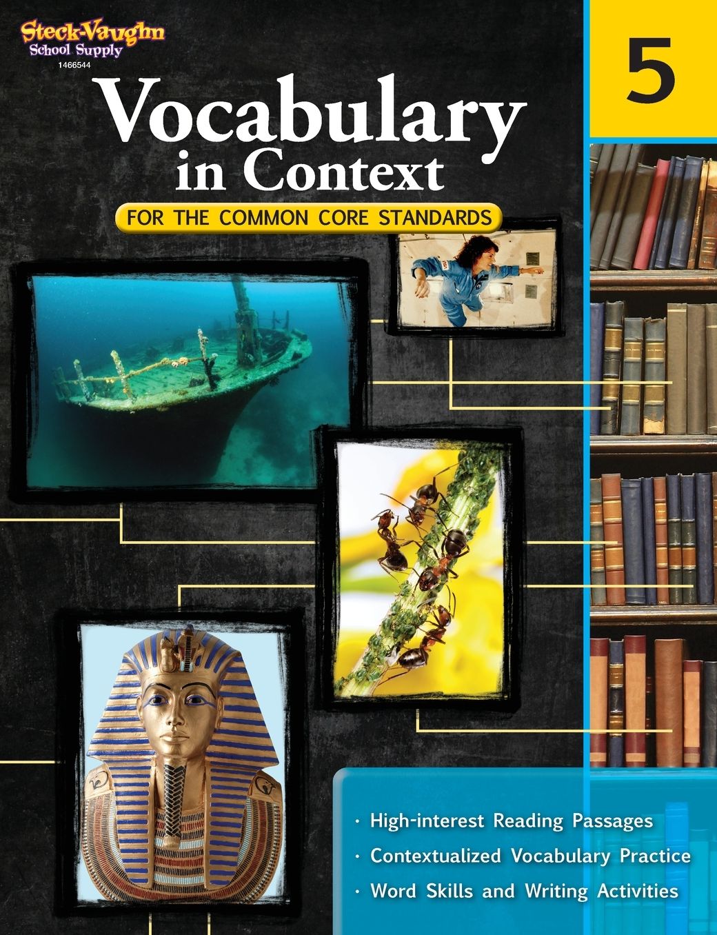 Vocabulary in Context, Grade 5