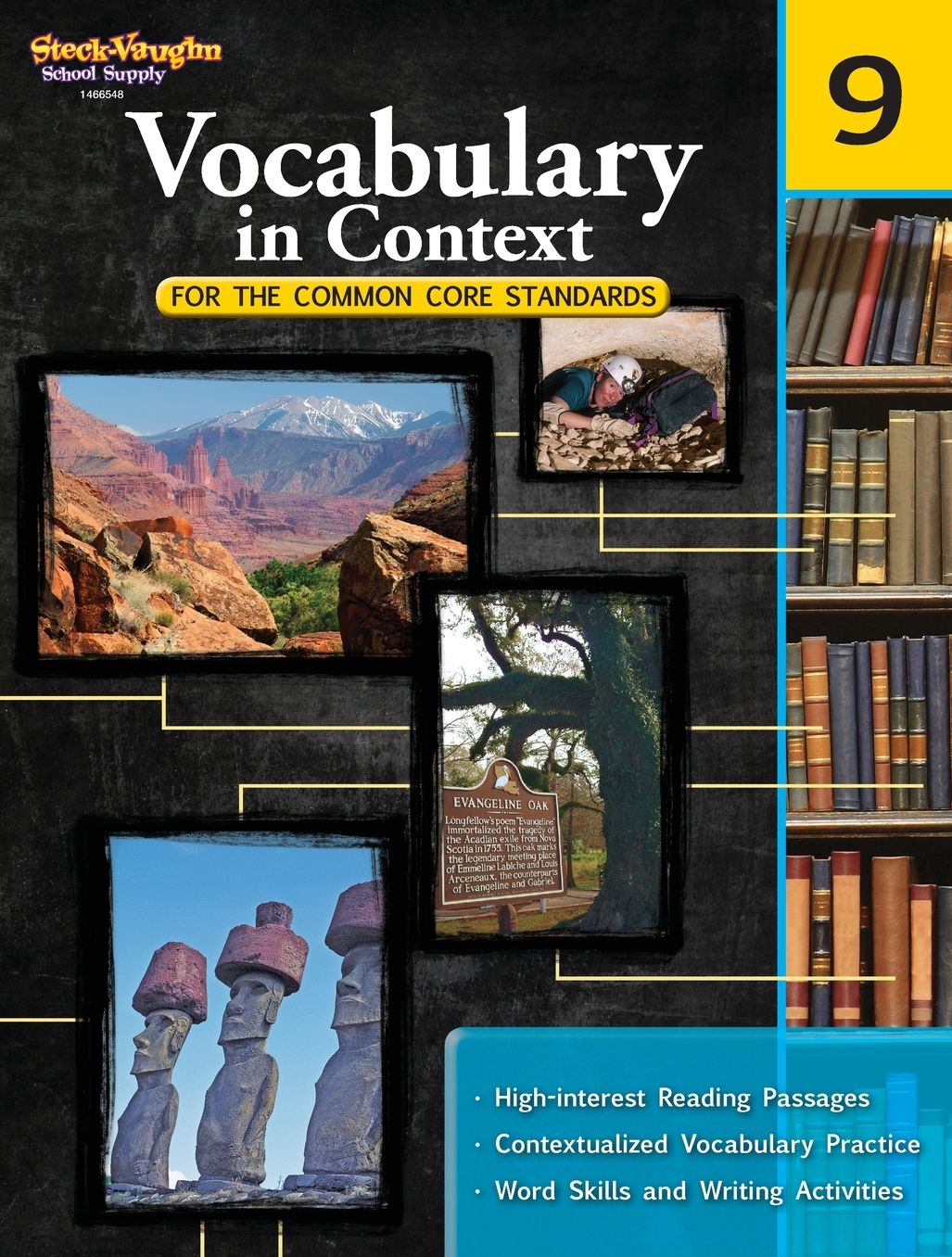 Vocabulary in Context, Grade 9