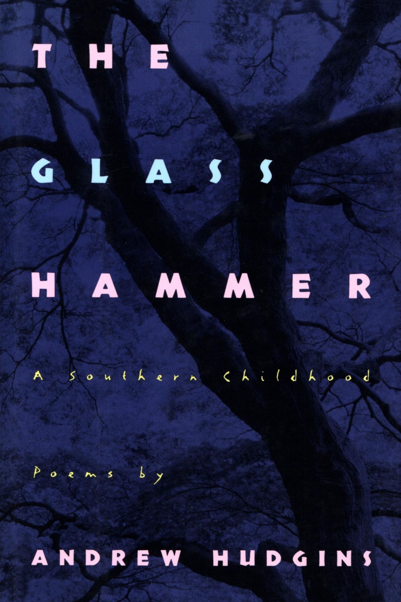 The Glass Hammer: A Southern Childhood