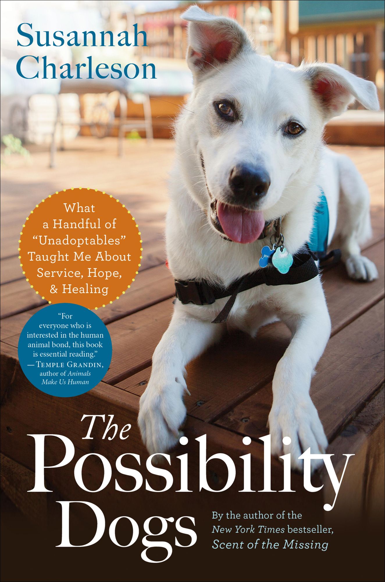 The Possibility Dogs: What a Handful of "Unadoptables" Taught Me About Service, Hope, & Healing