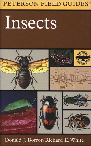 Peterson Field Guide to Insects (PagePerfect NOOK Book)