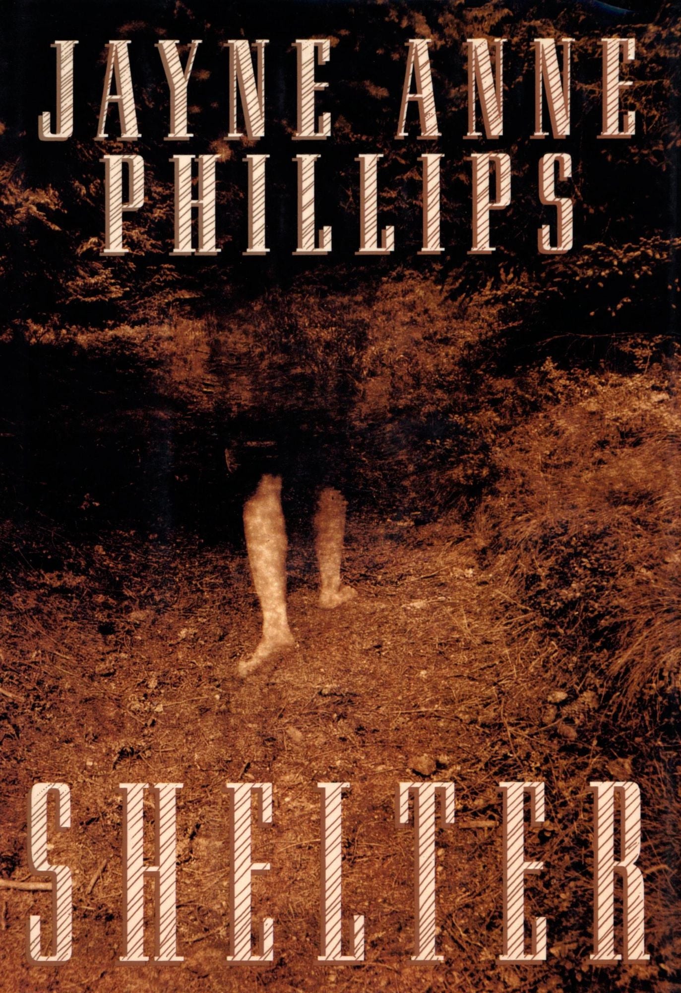 Shelter