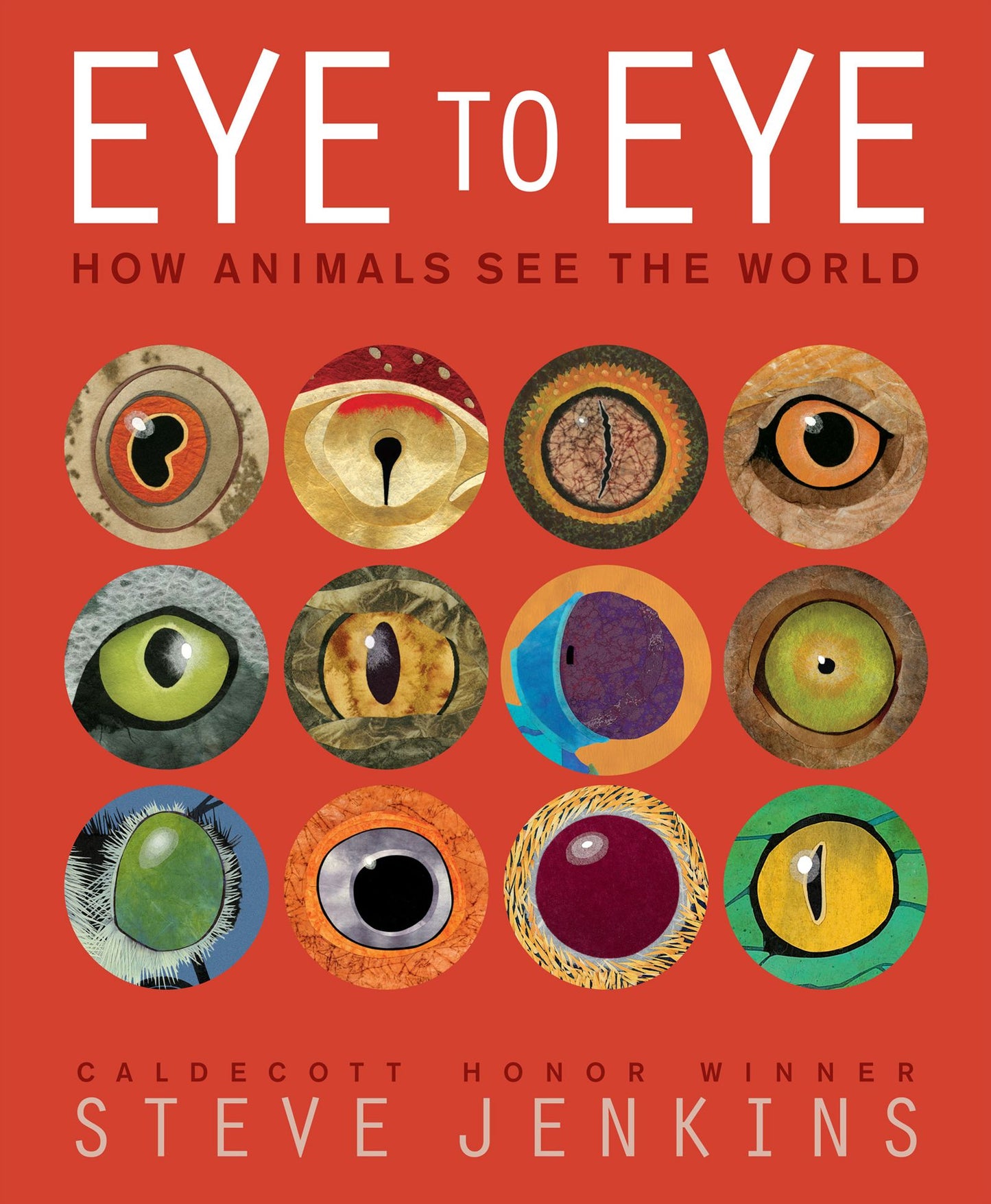 Eye to Eye : How Animals See the World