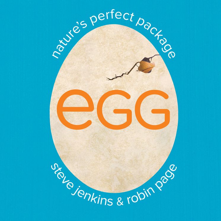 Egg : Nature's Perfect Package