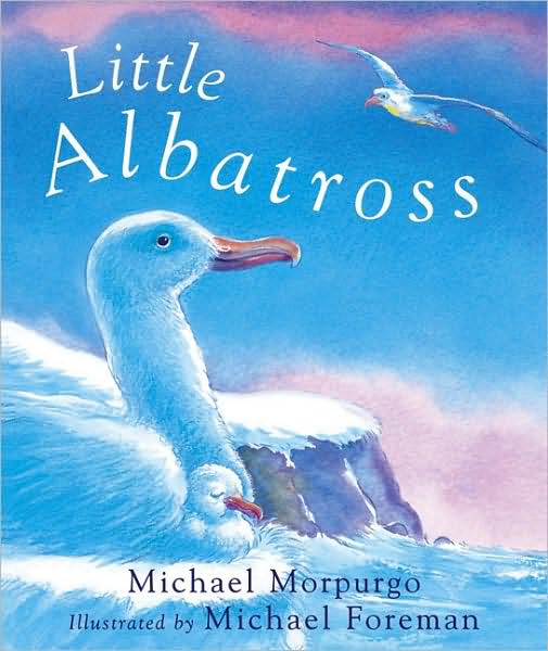 Little Albatross