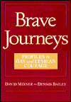 Brave Journeys: Profiles in Gay and Lesbian Courage