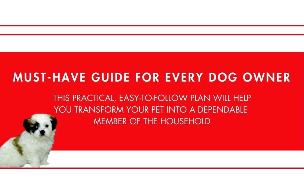 How to Housebreak Your Dog in 7 Days