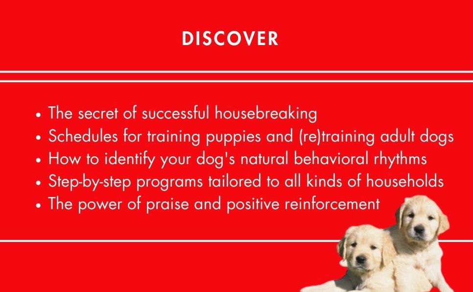 How to Housebreak Your Dog in 7 Days
