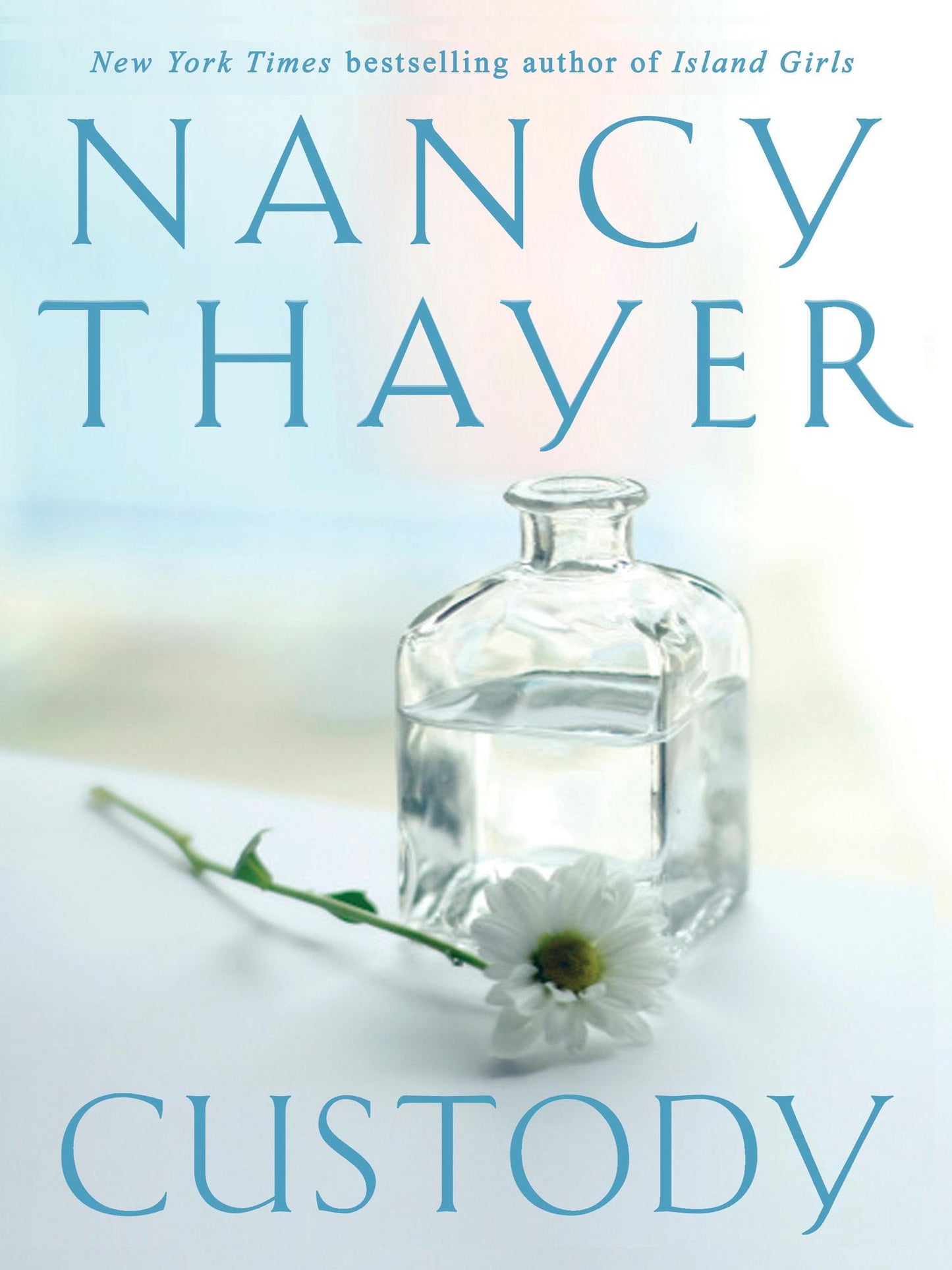 Custody: A Novel