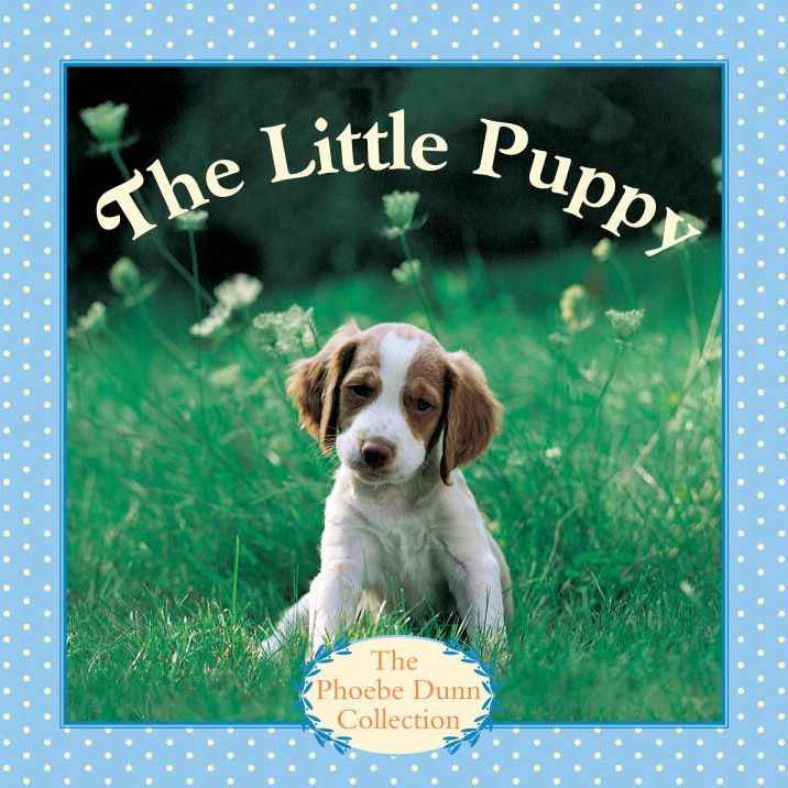 The Little Puppy