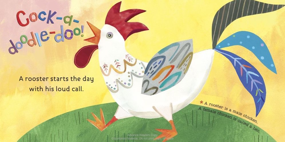 Hello, World! Birds