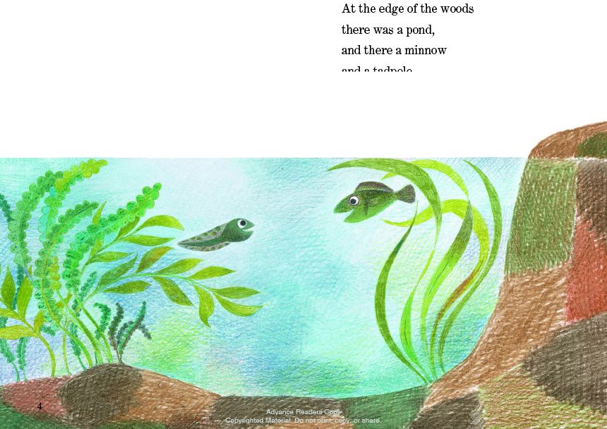 Fish is Fish