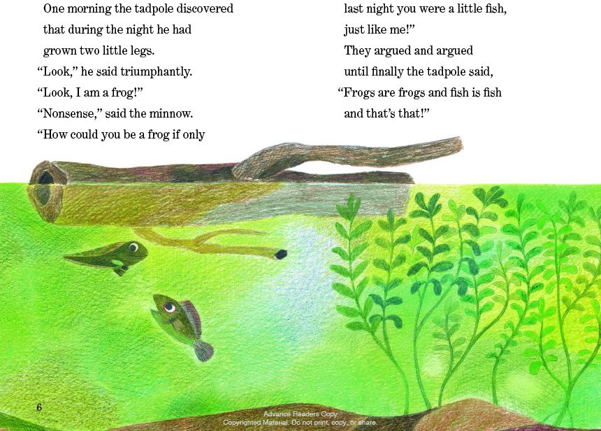 Fish is Fish