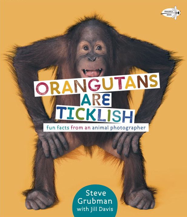 Orangutans Are Ticklish: Fun Facts from an Animal Photographer