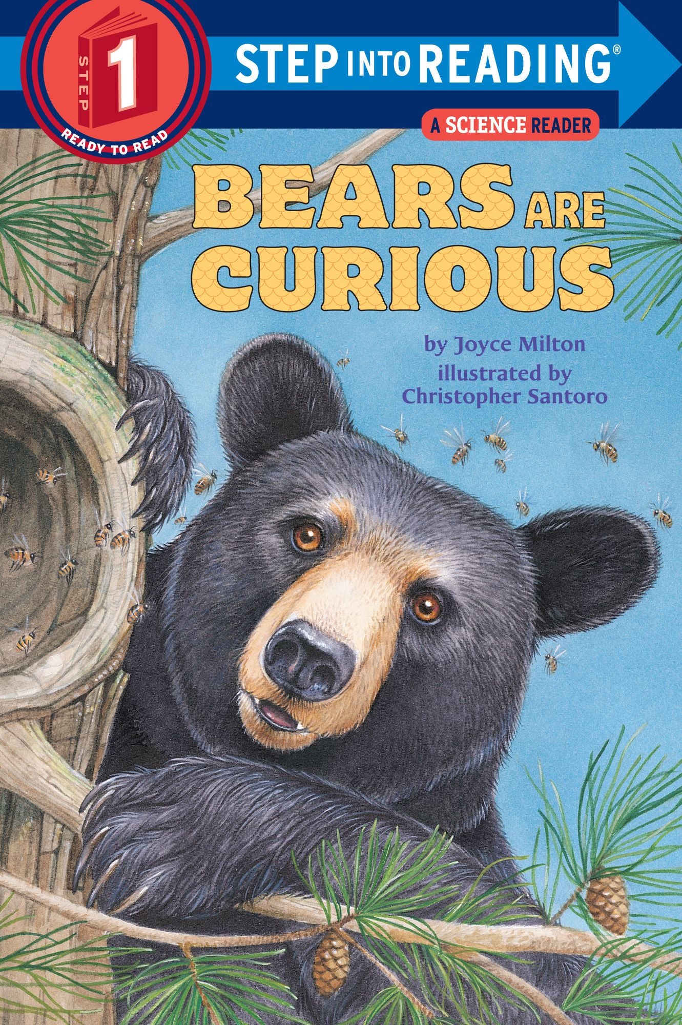 Bears Are Curious (Step into Reading Books Series: A Step 1 Book)
