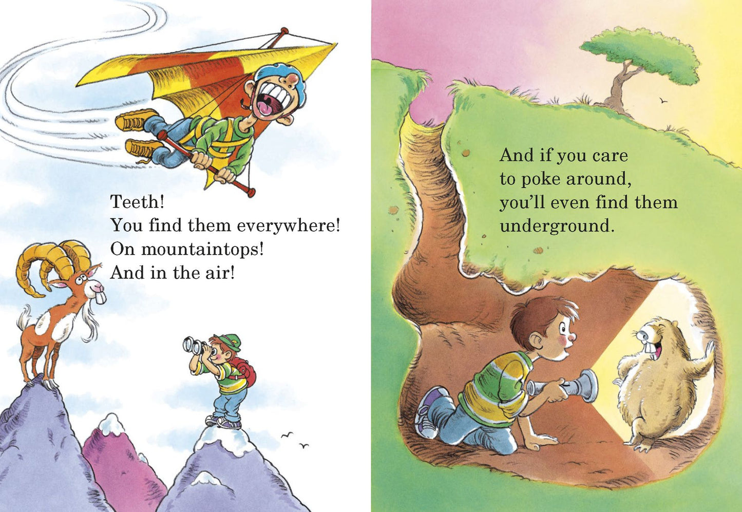 The Tooth Book