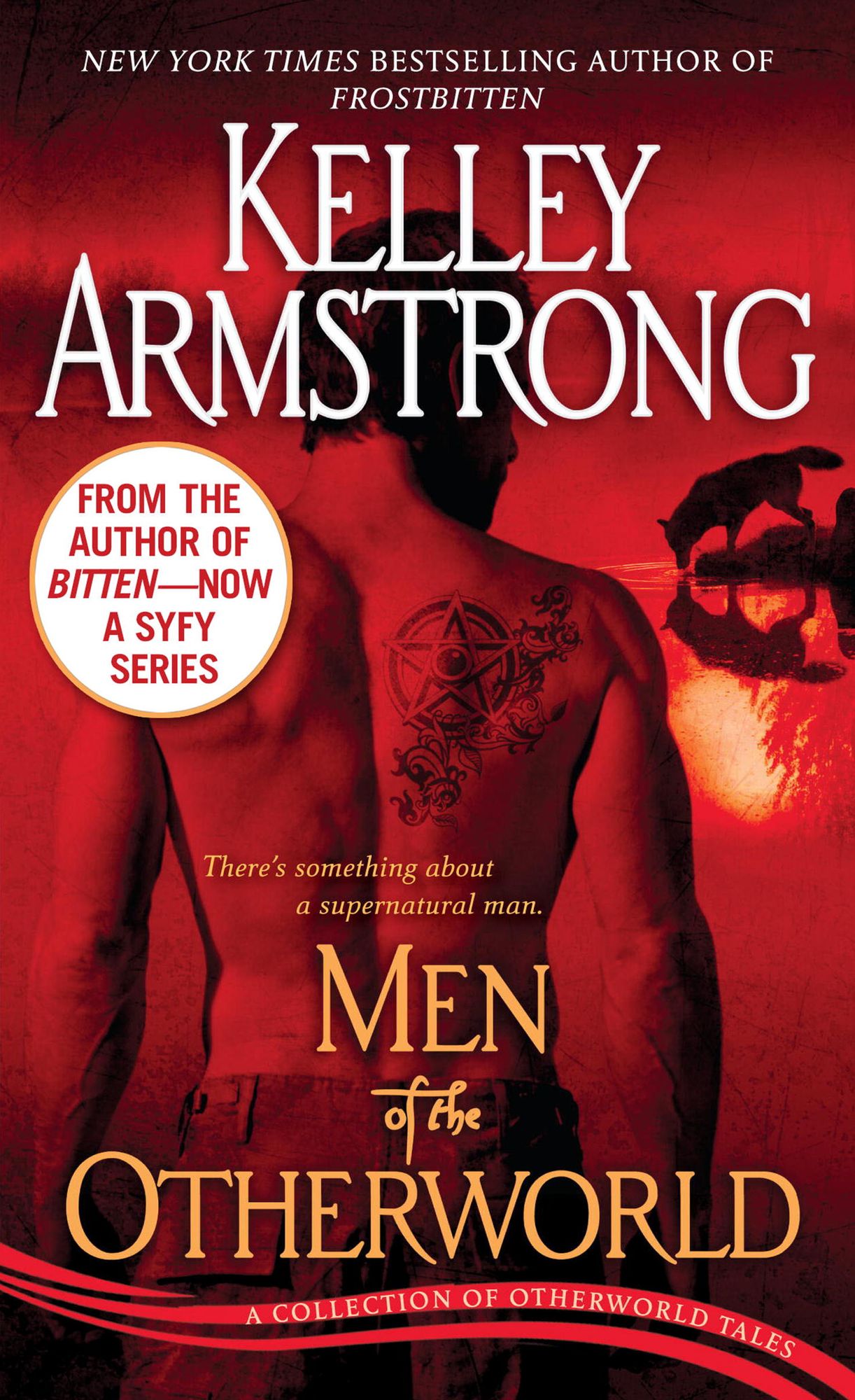 Men of the Otherworld (Women of the Otherworld Series)
