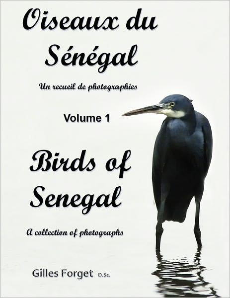 Oiseaux Du S N Gal / Birds Of Senegal