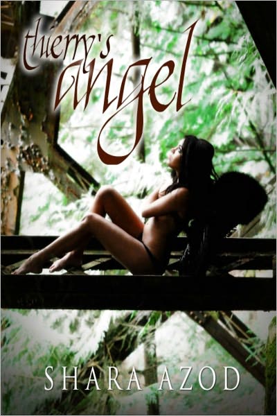 Thierry's Angel ~ Book One of the Chevalier Series