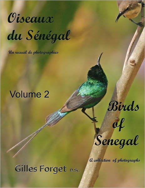 Oiseaux Du S N Gal