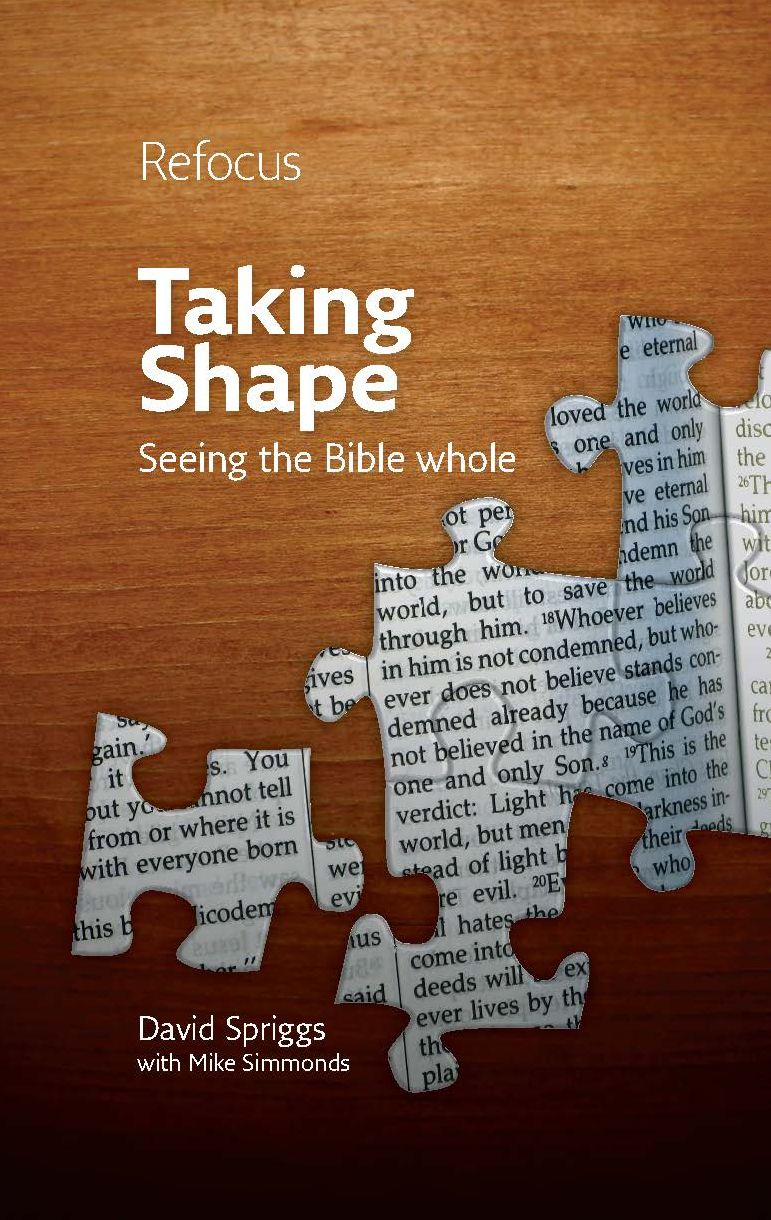 Taking Shape: Seeing the Bible whole