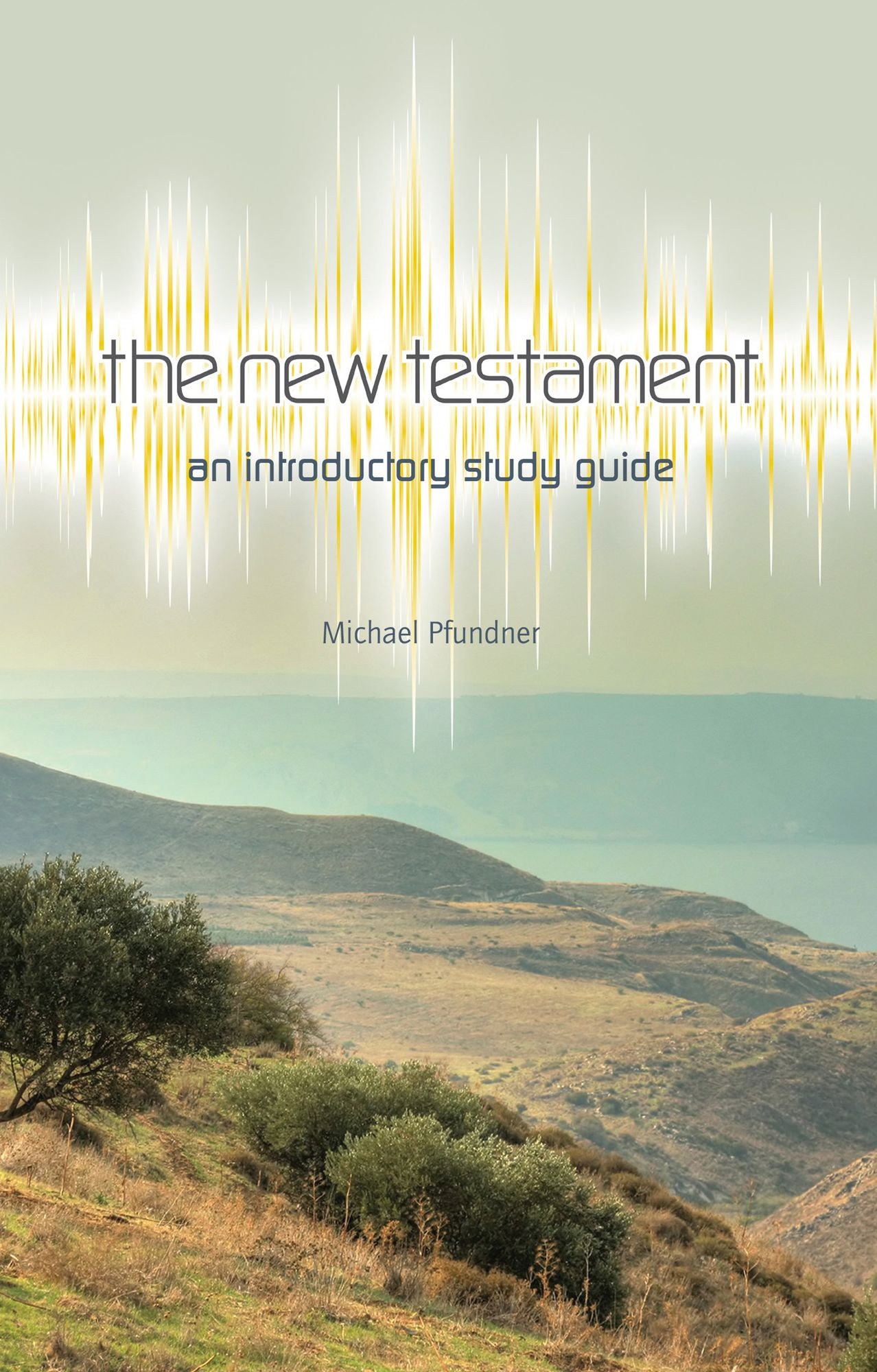The New Testament: An Introductory Study Guide