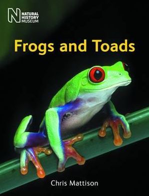 Frogs and Toads