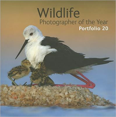 Wildlife Photographer of the Year