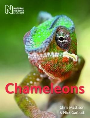 Chameleons. Christopher Mattison and Nick Garbutt