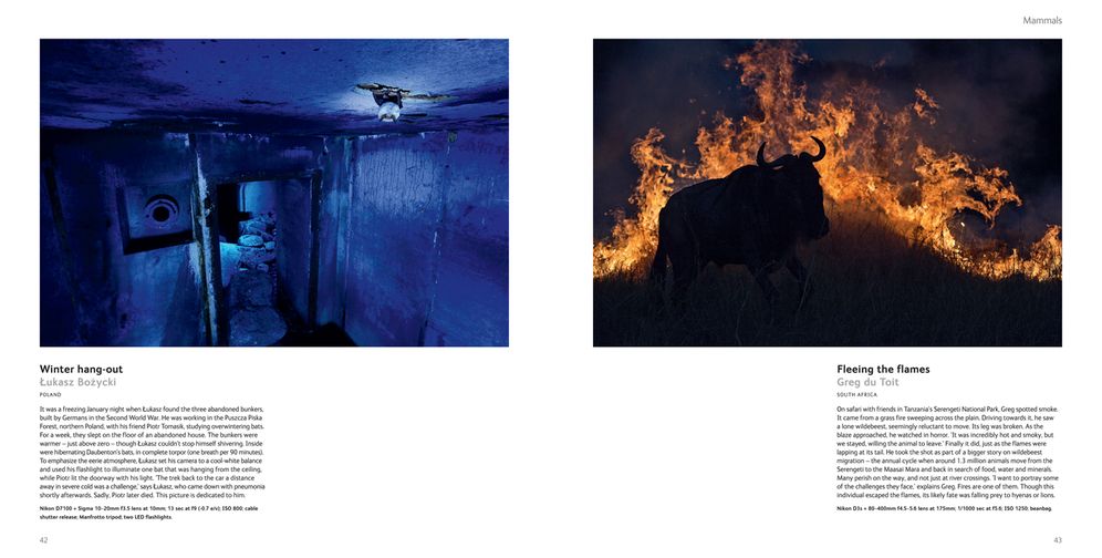 Wildlife Photographer of the Year: Portfolio 24