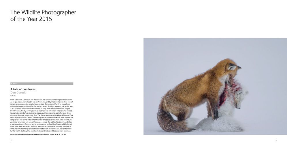 Wildlife Photographer of the Year: Portfolio 25