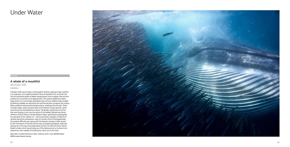 Wildlife Photographer of the Year: Portfolio 25