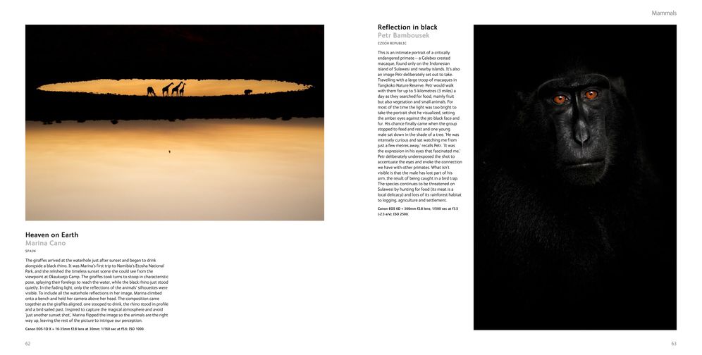 Wildlife Photographer of the Year: Portfolio 25