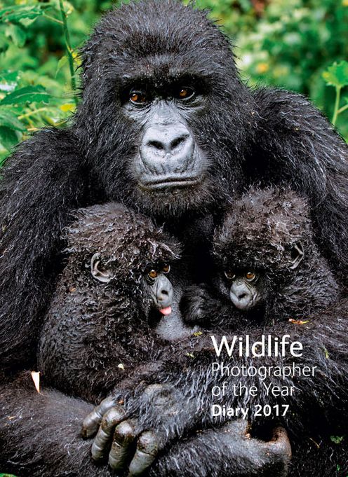 Wildlife Photographer of the Year Pocket Diary 2017