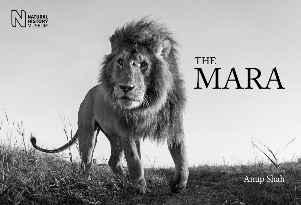 The Mara