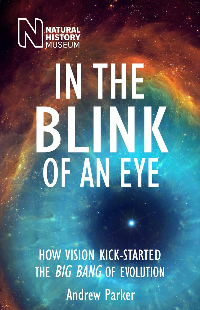 In the Blink of an Eye: How Vision Kick-Started the Big Bang of Evolution