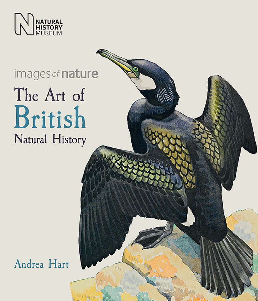 The Art of British Natural History