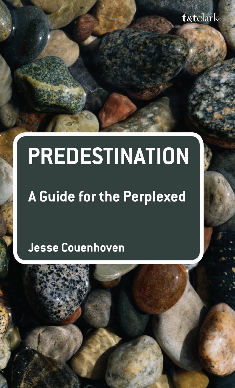 Predestination: A Guide for the Perplexed