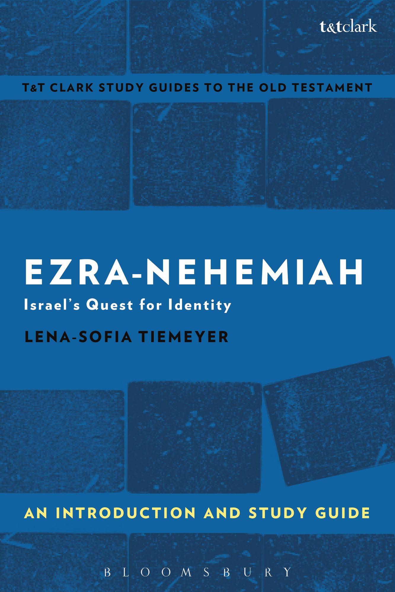 Ezra-Nehemiah: An Introduction and Study Guide: Israel's Quest for Identity