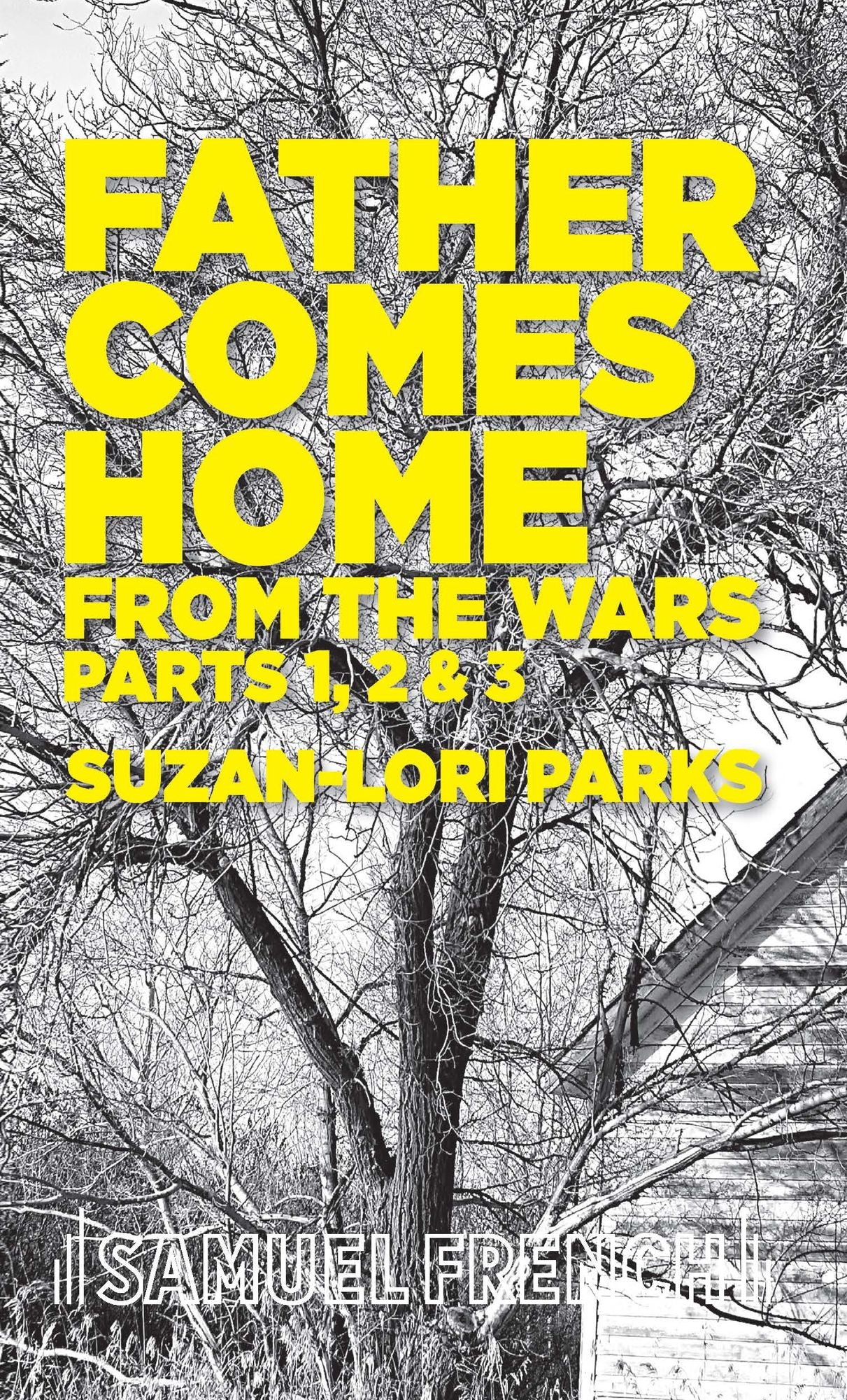 Father Comes Home From the Wars, Parts 1, 2 & 3